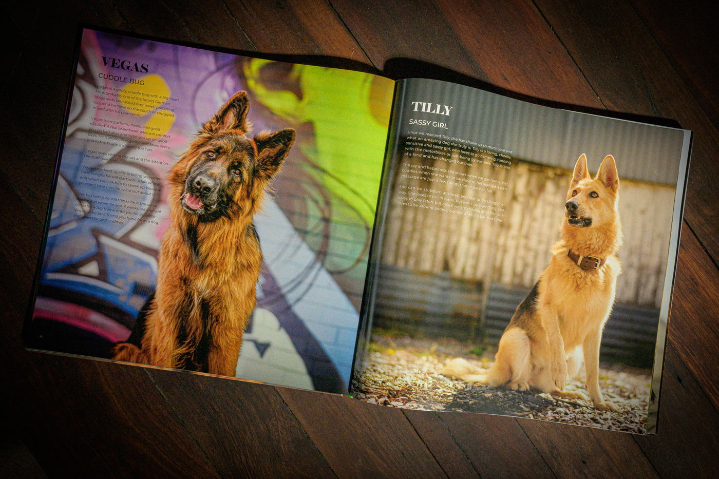 BOOK - GERMAN SHEPHERDS OF AUSTRALIA 1.0 BOOK - GERMAN SHEPHERDS OF AUSTRALIA 1.0