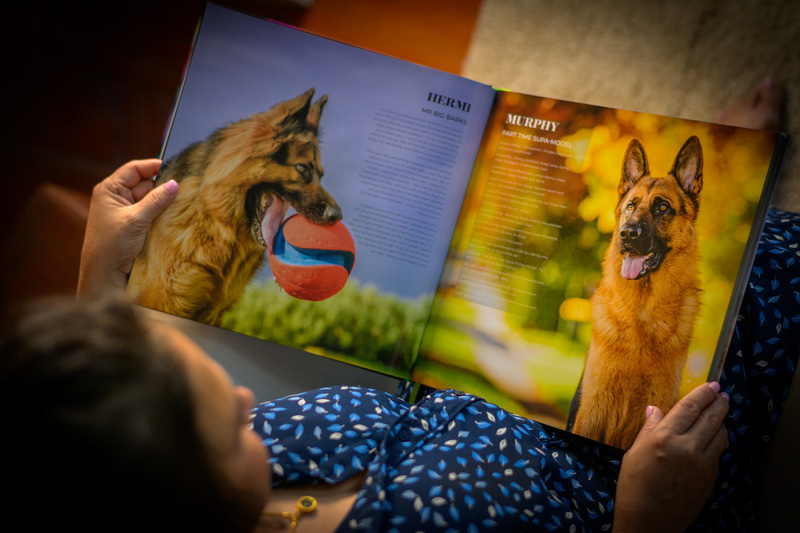 BOOK - GERMAN SHEPHERDS OF AUSTRALIA 1.0